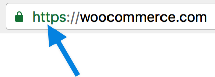 An arrow pointing out the padlock in a web browser's address bar