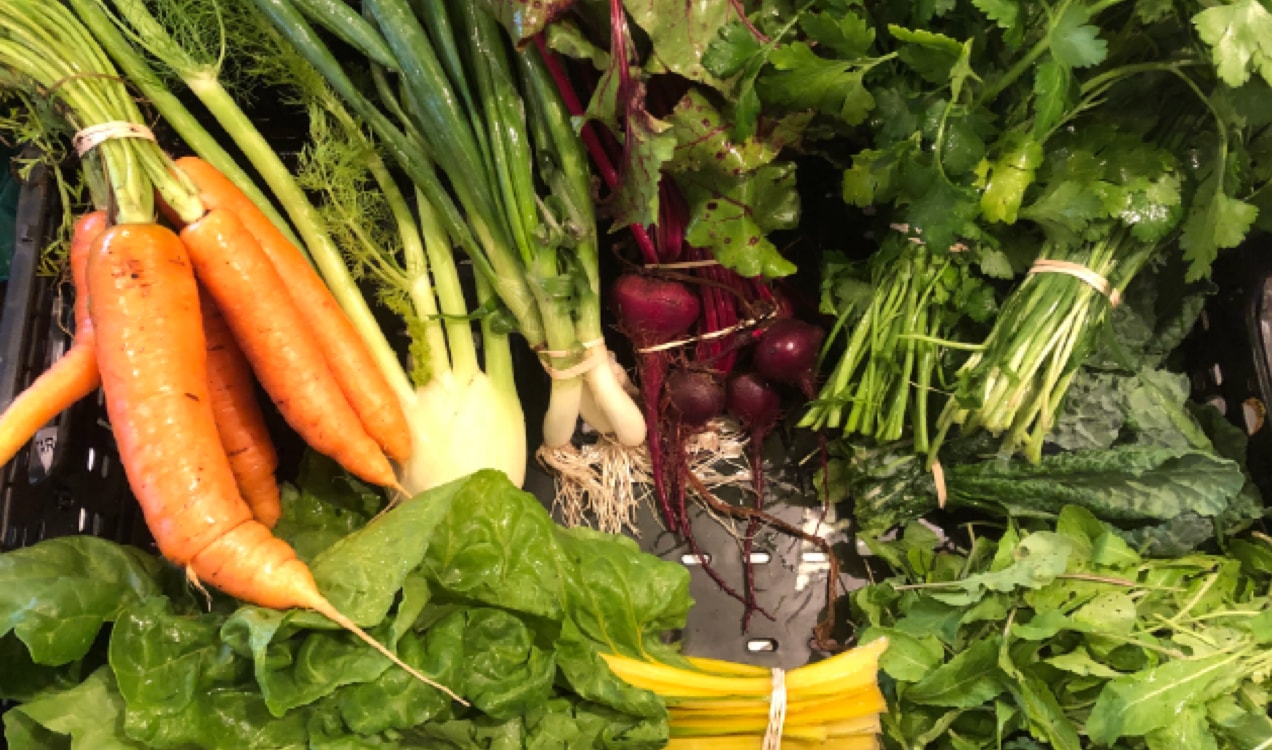 veggie basket from Eden East