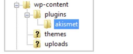 Screenshot of a plugin name highlighted in a website's file manager